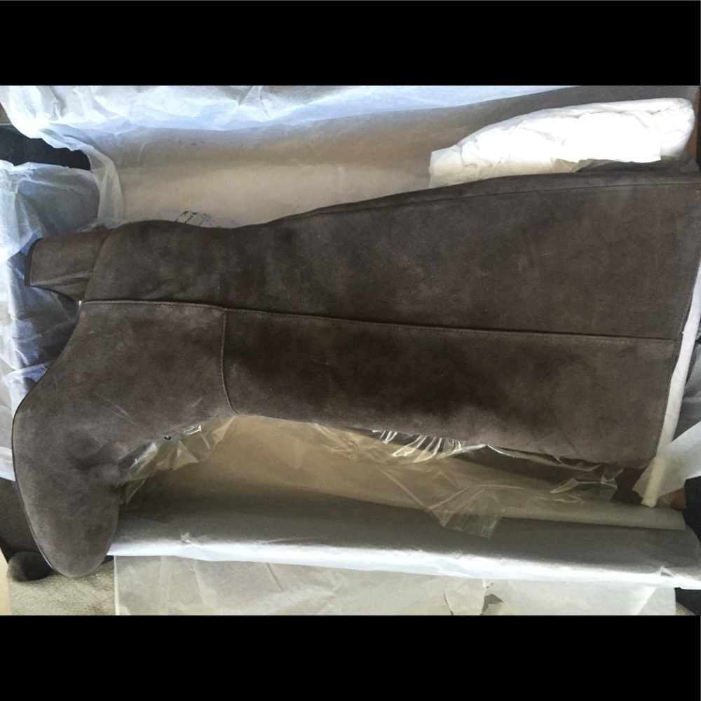 Ann Taylor Larkin Suede boots